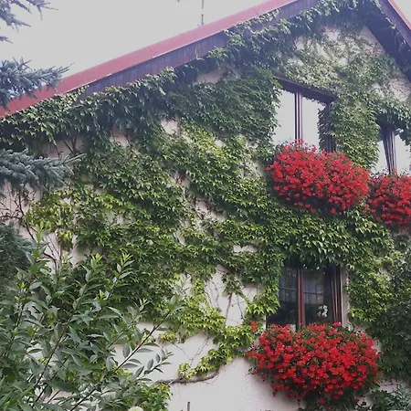 Homestay Maly S Kuchynkou Blizko Centra Cesky Krumlov
